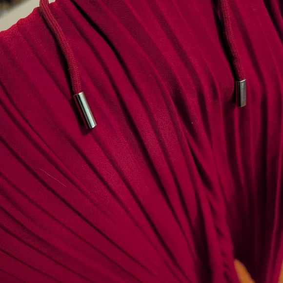 Wide Leg Pleated Pants in Burgundy - Picture 3 of 3